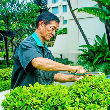 DỊCH VỤ DU TU CẢNH QUAN